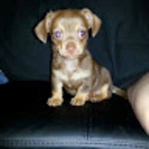 Meet your Posher, Dana